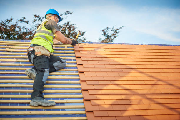 Best Metal Roofing Installation  in Pana, IL