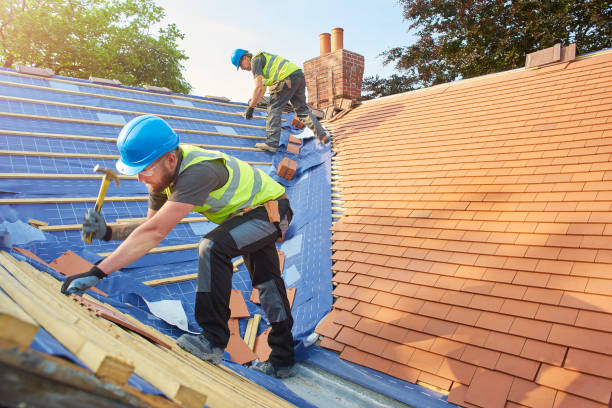 Best Roof Insulation Installation  in Pana, IL
