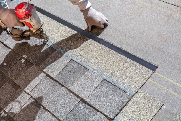 Best Roof Maintenance and Cleaning  in Pana, IL